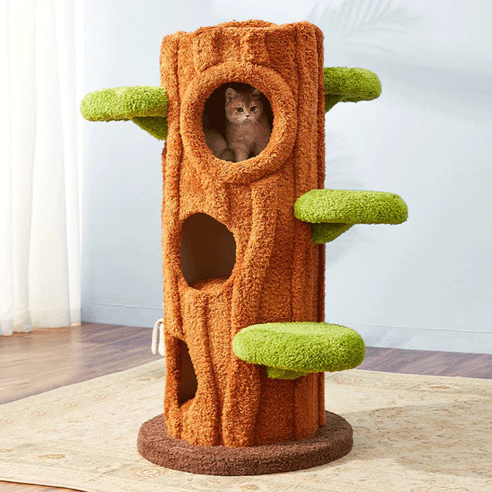 Luxury Cat Tree Looks Like Tree Tall Climbing Frame