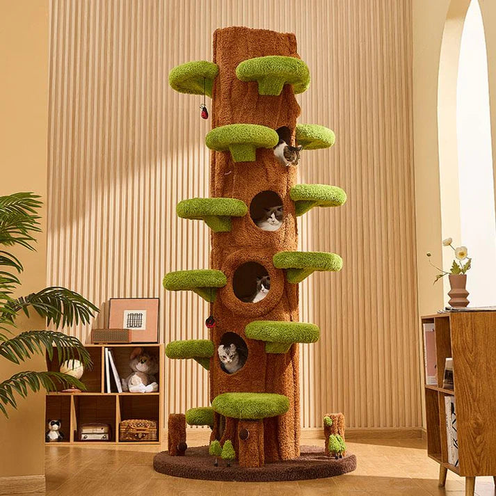 Luxury Cat Tree Looks Like Tree Tall Climbing Frame