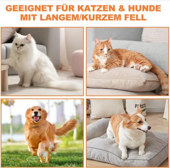 🔥Haustier Dampfbürste